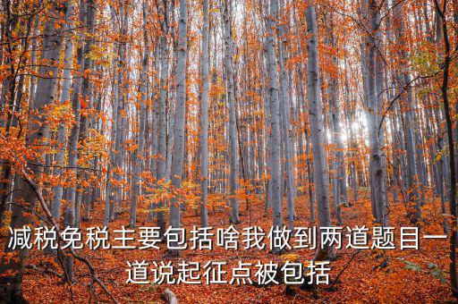 什么是減稅免稅，什么是稅收法定減免