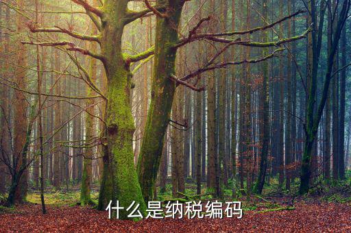 什么是納稅登記編碼，什么是納稅編碼