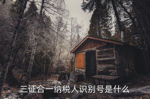 稅號識別號是什么意思，納稅人編碼 納稅人識別號有什么區(qū)別