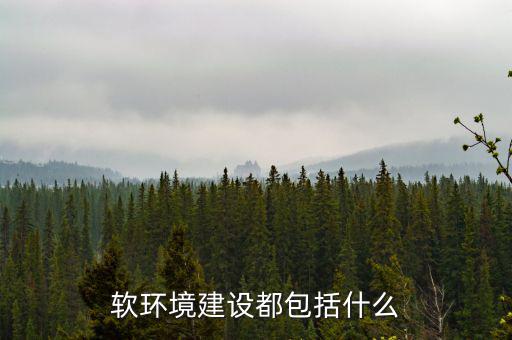 軟環(huán)境建設都包括什么