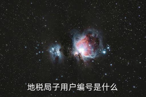 河北地稅的登錄賬號是什么，地稅局網(wǎng)上申報 用戶名用戶名是什么啊