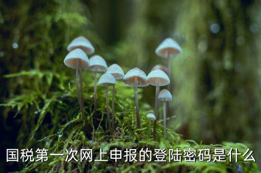 國(guó)稅登記密碼是什么，國(guó)稅第一次網(wǎng)上申報(bào)的登陸密碼是什么