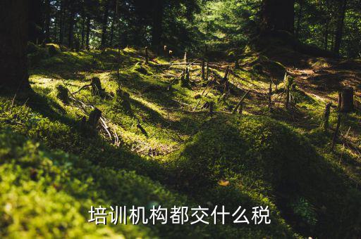 2017培訓機構(gòu)交什么稅，培訓機構(gòu)需要交稅的種類有多少
