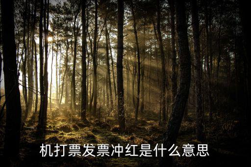 沖紅發(fā)票什么意思，單據(jù)沖紅是什么意思