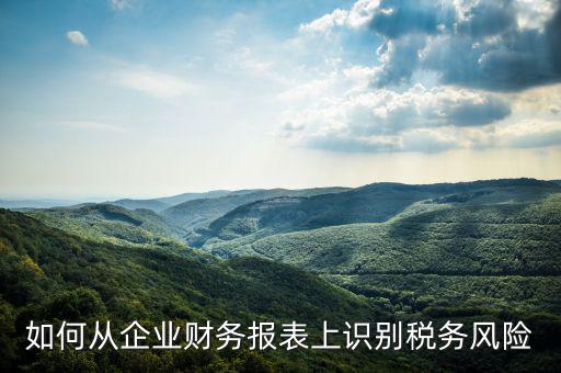 稅務風險核查是什么意思，虛開增值稅專用發(fā)票核查 什么意思