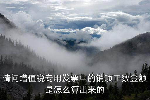 銷項(xiàng)正數(shù)金額是什么意思，銷項(xiàng)正數(shù)金額銷項(xiàng)負(fù)廢金額銷項(xiàng)負(fù)數(shù)金額是什么意