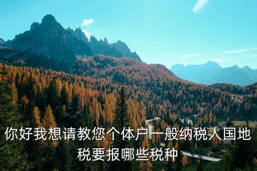 你好我想請(qǐng)教您個(gè)體戶一般納稅人國地稅要報(bào)哪些稅種