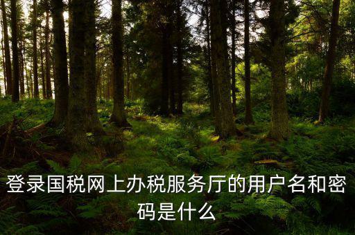 登錄國稅網(wǎng)上辦稅服務廳的用戶名和密碼是什么