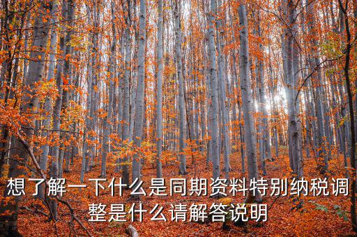 什么是特別納稅調(diào)整監(jiān)控管理階段，想了解一下什么是同期資料特別納稅調(diào)整是什么請解答說明