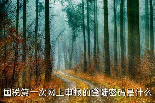 廣州國(guó)稅官網(wǎng)登錄密碼是什么，稅務(wù)局網(wǎng)站的登入賬戶初始密碼是什么