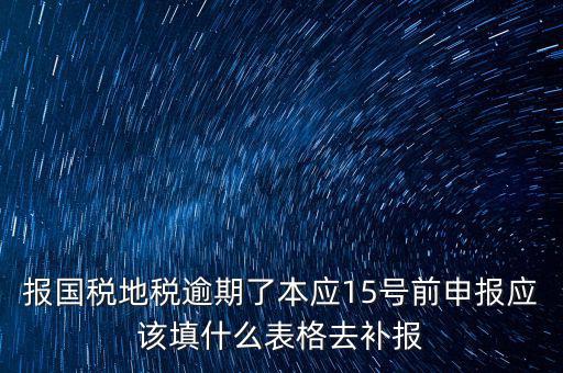 補錄國地稅信息都錄什么，報國稅地稅逾期了本應(yīng)15號前申報應(yīng)該填什么表格去補報