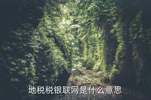 地稅稅銀聯(lián)網是什么意思