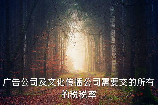 廣告公司交什么稅，廣告公司及文化傳播公司需要交的所有的稅稅率