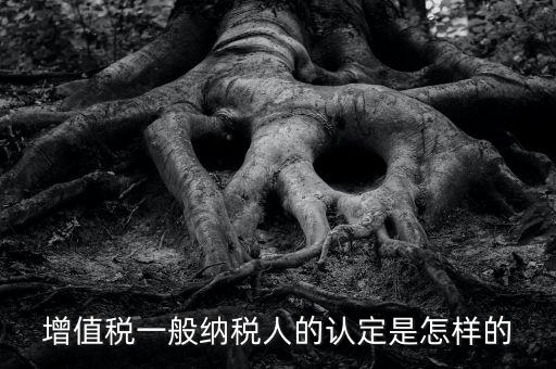 一般納稅人認(rèn)證是什么，一般納稅人資格證什么