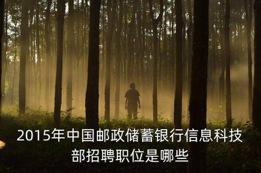 郵政2015主要工作為11333是什么，關(guān)于2015年的郵政郵遞員工作的問題