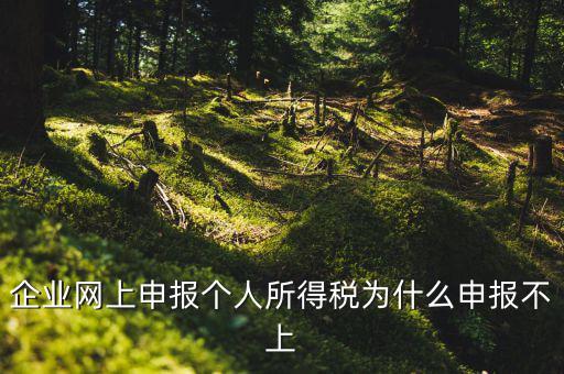 為什么稅務(wù)申報(bào)不了了，為什么申報(bào)不上