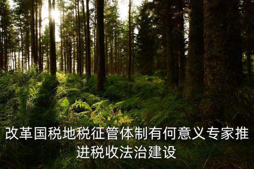 什么是法治地稅，什么是依法征稅依法
