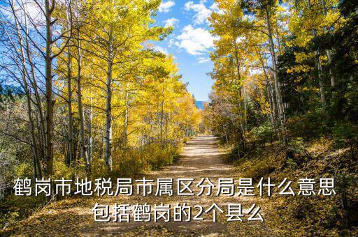 片區(qū)稅務分局是什么，陽宗海片區(qū)屬于哪個稅務局