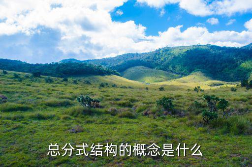 總分機(jī)構(gòu)標(biāo)志是什么意思，總分機(jī)構(gòu)納稅人是什么意思
