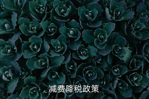 做好6項(xiàng)減稅政策的內(nèi)容是什么，減費(fèi)降稅政策