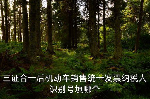 統(tǒng)一納稅識別號是什么，三證合一后機動車銷售統(tǒng)一發(fā)票納稅人識別號填哪個