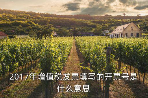 增值稅開票編碼是什么意思，2017年增值稅發(fā)票填寫的開票號(hào)是什么意思