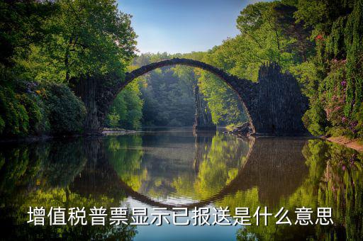 什么是報送報告，什么是報送審計