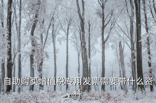 自助發(fā)票需要帶什么，自助購(gòu)買增值稅發(fā)票需要身份證嗎