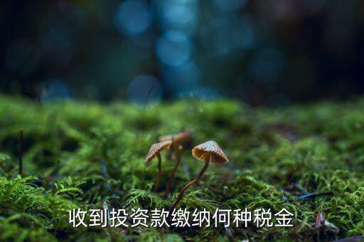 銷售投資品 納什么稅，收到投資款繳納何種稅金