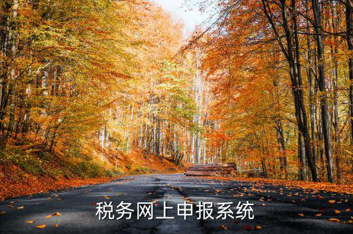 什么是稅收網(wǎng)報軟件，稅務(wù)網(wǎng)上申報系統(tǒng)