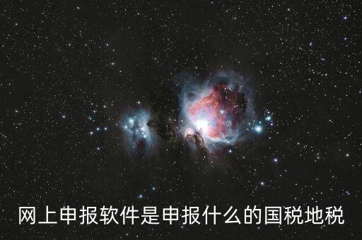 國稅申報(bào)軟件是什么，申報(bào)軟件是什么