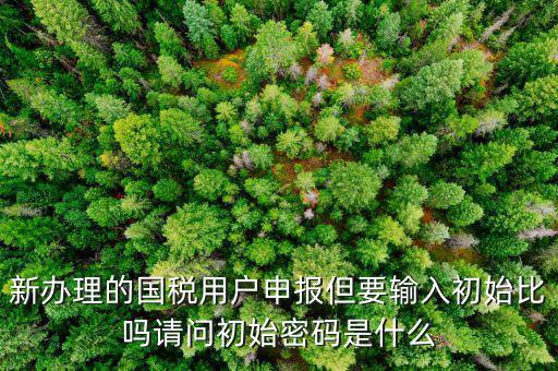 初始申報密碼是什么，小關(guān)稅務(wù)所 新企業(yè) 網(wǎng)上納稅申報初始密碼是什么