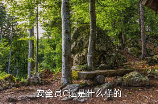 數(shù)字人事是什么樣的，數(shù)字人事是什么