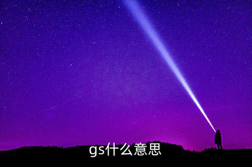 什么是gs系統(tǒng)，gs什么意思