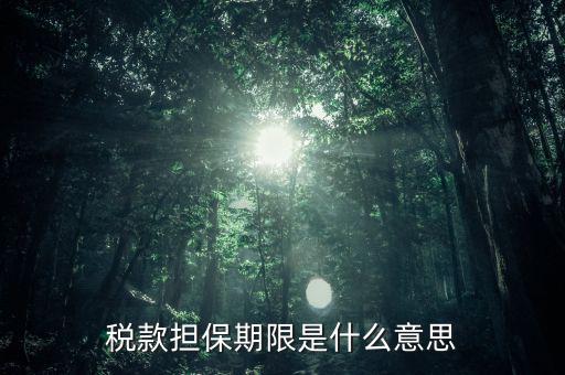 納稅擔(dān)保人什么意思，稅款擔(dān)保期限是什么意思