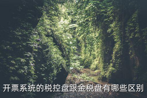 金稅盤和稅控盤什么區(qū)別，金稅盤和稅控盤開出的發(fā)票有什么區(qū)別