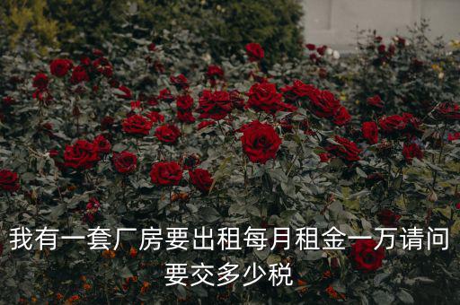 個人租廠房要交什么稅，我有一套廠房要出租每月租金一萬請問要交多少稅