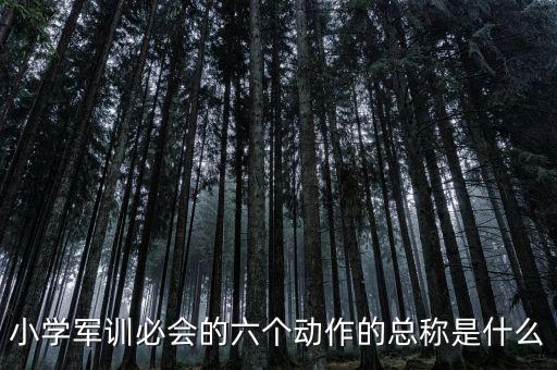 小學(xué)軍訓(xùn)必會的六個(gè)動作的總稱是什么