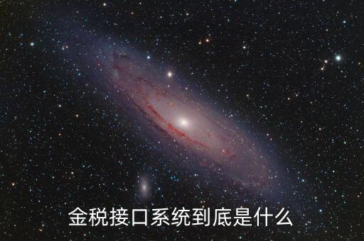 金稅售后是做什么的，鞍山金稅科技有限公司是干什么工作