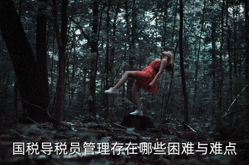 國稅導稅員管理存在哪些困難與難點