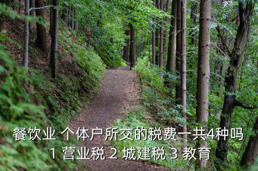 個(gè)體餐飲業(yè)交什么稅，餐飲業(yè) 個(gè)體戶所交的稅費(fèi)一共4種嗎 1 營業(yè)稅 2 城建稅 3 教育