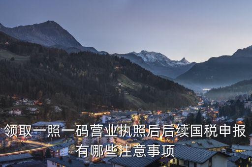 領(lǐng)取一照一碼營業(yè)執(zhí)照后后續(xù)國稅申報(bào)有哪些注意事項(xiàng)
