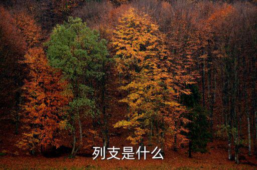 賠付支出能列支什么意思，列支是什么意思