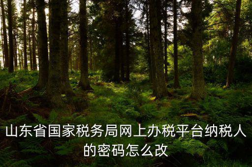 山東省國家稅務(wù)局網(wǎng)上辦稅平臺(tái)納稅人的密碼怎么改