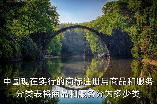 中國現(xiàn)在實(shí)行的商標(biāo)注冊(cè)用商品和服務(wù)分類表將商品和服務(wù)分為多少類