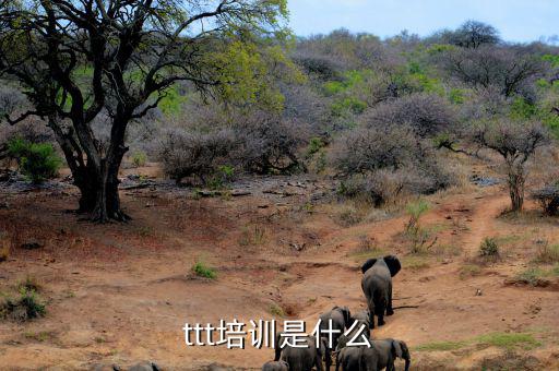 納稅人學(xué)堂培訓(xùn)干什么，去各種培訓(xùn)班做老師有前途么
