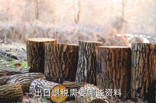 外貿(mào)退稅需要什么資料，出口退稅需要哪些資料