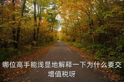 為什么要繳增值稅，為什么要有消費者付增值稅