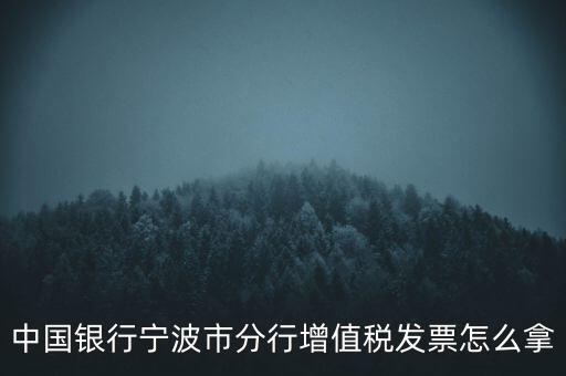 寧波國(guó)稅過發(fā)票要帶什么，浙江地區(qū)公司首次拿發(fā)票去國(guó)稅局需要帶什么證件