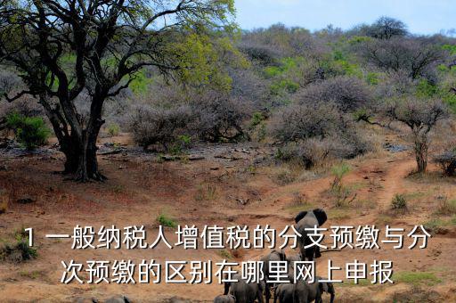 1 一般納稅人增值稅的分支預繳與分次預繳的區(qū)別在哪里網(wǎng)上申報